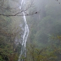 霧漫桃山瀑布