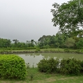 觀景台前水池