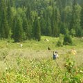 Hike to the Phelps Lake - 跋山