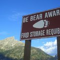 Bear Country -- Jenny Lake Campground