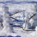Winter：終於等到一場好雪，濕度剛好能滾雪球，趕緊建造一個雪人國。
