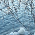 Winter：一點一滴，湖水開始結冰。