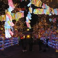 2010台北燈節嘉年華 - 4
