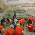 F03 Little paleontologists