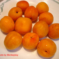 F02 Fresh apricot