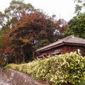 天空一點點藍,樹紅紅的,一間日式的小房子,心想,真美呀 !! 拍完走近看才知道小房子原來是洗手間......