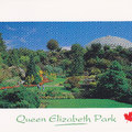 溫哥華-伊莉莎白皇后公園-明信片