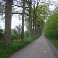 2005.04荷蘭