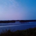 黃昏的鹽水溪畔