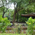 板橋-林家花園