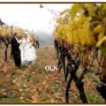 Photo on year 2006. 葡萄酒廠的葡萄莊園 友人在自家葡萄藤樹的簇擁 辦起愉悅份氛圍的Wedding!