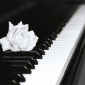 鋼琴玫瑰(http://monnie-music.com/web2.html)