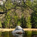 出差美國時利用週末空檔, 獨自一人到優勝美地國家公園 Yosemite 逛逛, 作品交流, 請多指教!