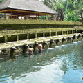 聖泉廟, Bali