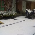 二月二号早上，家门口高质量的雪
