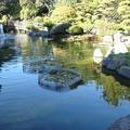 10-15-2008 Japanese Garden at Central Park - 15