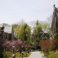Beautiful Princeton Campus