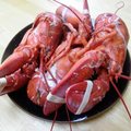 Cooked Lobster