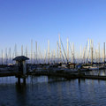 Marina Boat Area