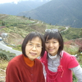 南橫-高山上的茶園(Mom&me)