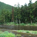 這片溪流情景,讓我回憶起黃石,像隨時會有動物出來喝水似的