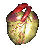 心臟病-3