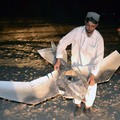 上個星期在巴基斯坦的北部被人發現一個墜毀的鳥狀迷你 UAV.