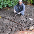 掘孔栽種球莖
