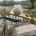 在蓮花的故鄉，台南縣白河鎮有一條蓮花詩路，路不長，卻是地方人士用心經營的一塊淨土