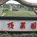 嘉義頂菜園鄉土館是利用台灣98年失業嚴重,利用人員架設觀光景點.
