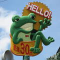 HELLO青蛙