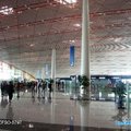 北京機場 T3 內部眺望巨大的穹頂