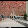北京機場 T3  Check-in