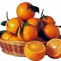 橘子紅了 (2)