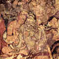 印度阿旃陀佛教石窟 Ajanta Caves - 4