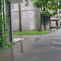 20080718卡玫基颱風來襲--淹水的南州國中校園 - 4