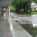 20080718卡玫基颱風來襲--淹水的南州國中校園 - 5