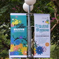 2010花卉展前夕 - 16