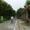東豐自行車道