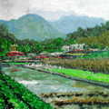 油畫創作--竹子湖