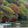 京都嵐山的畫板，不同季節潑灑不同彩墨，在每一尖枝頭，在每一片葉面。