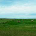 方收割的乾草堆, 自加拿大Calgary一直到Montana都可以看到