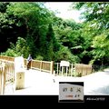 伊豆の踊子步道~河津初景滝