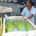 莫拉克颱風來襲，菜價暴漲，到西螺果菜市場採訪、看看蔬菜交易狀況
