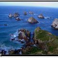 NUGGET POINT
