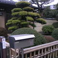 日式庭院, 很古典很優雅, 好羨慕