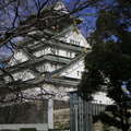 日本大阪市內大阪城之天守閣 -- 豐臣秀吉 圖三由遠至近