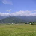 台東池上關山地區風景-- 米稻的故鄉