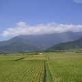 台東池上關山地區風景-- 米稻的故鄉