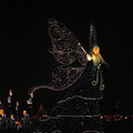 2007年9月東京迪士尼樂園夜晚遊行-蝴蝶仙子嗎